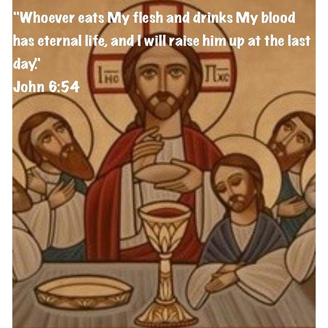 "Whoever eats My flesh and drinks My blood has eternal life, and I will raise him up at the last day."
John 6:54
.
"Through the Holy Eucharist the faithful eat and drink the life of Christ."- St. Augustine

#eternallife #iwillraisehimup #ChristIsRisen #TrulyHeIsRisen #dailyreadings #coptic #orthodox