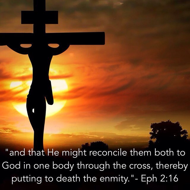 “and that He might reconcile them both to God in one body through the cross, thereby putting to death the enmity.” - Ephesians 2:16
.
“No expression could be more authoritative or more emphatic. His death, he says, killed the enmity, wounded and destroyed it. He did not give the task to another. And he not only did the work but suffered for it. He did not say that he dissolved it; he did not say that he put an end to it, but he used the much more forceful expression: He killed! This shows that it need not ever rise again. How then does it rise again? From our great wickedness. So long as we remain in the body of Christ, so long as we are one with him it does not rise again but lies dead.” - St. John Chrysostom #puttingtodeaththeenmity #dailyreadings #coptic #orthodox #ChristIsRisen