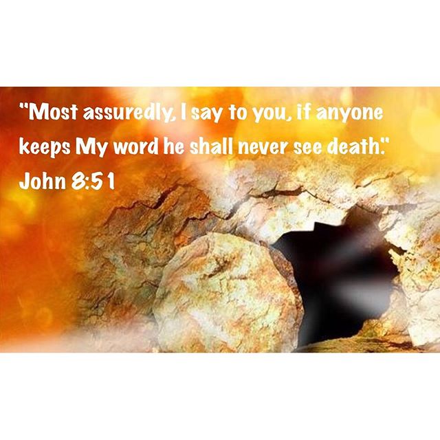 "Most assuredly, I say to you, if anyone keeps My word he shall never see death." John 8:51
.
"Indeed, the Lord knew of another death and He had come to save us all from it- the second death, the eternal hellish death, the death of condemnation with Satan and his angels. This is the real death, whereas the other death is merely a transition. What is the other death? It consists of abandoning the body, dismantling its heavy burden and putting it away so that it no longer drags a person downwards into hell. The Lord speaks about real death in these words: “If anyone keeps My word he shall never see death”. St Augustine 
#dailyreadings #eternallife #neverseedeath #coptic #orthodox #ChristisRisen