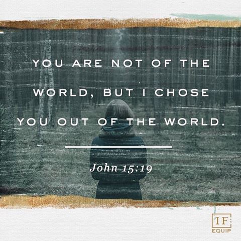 “If you were of the world, the world would love its own. Yet because you are not of the world, but I chose you out of the world, therefore the world hates you.” John 15:19
.
"As though the Lord Jesus Christ says to His disciples, “If you wish to love, you must suffer.” This is implied in His saying, “If you were of the world, the world would love its own.” If the world loved you, it would be evident that you wanted in yourself the world’s malice."
Saint John Chrysostom 
#Love #notoftheworld #dailyreadings #Holy50 #coptic #orthodox #ChristisRisenandAscended