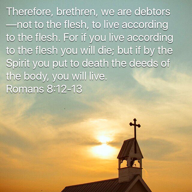 “Therefore, brethren, we are debtors—not to the flesh, to live according to the flesh. For if you live according to the flesh you will die; but if by the Spirit you put to death the deeds of the body, you will live.”
‭‭Romans‬ ‭8:12-13‬ ‭
.
.
.
“Unless a man gives himself entirely to the Cross, in a spirit of humility and self-abasement; unless he casts himself down to be trampled underfoot by all and despised, accepting injustice, contempt and mockery; unless he undergoes all these things with joy for the sake of the Lord, not claiming any kind of human reward whatsoever – glory or honour or earthly pleasures – he cannot become a true Christian” - St Mark the monk
.
.
.
#Coptic #DailyReadings #Orthodox #CopticOrthodox #Life #LiveAccordingToTheFlesh