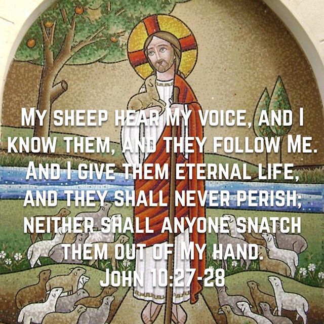 "My sheep hear My voice, and I know them, and they follow Me. And I give them eternal life, and they shall never perish; neither shall anyone snatch them out of My hand."
John 10:27,28
.
"The Lord presented to them the marks of His flock. These are they that hear His voice and recognize that it belongs to their Shepherd. They know the sound of His love and care. Therefore they adhere to Him and get acquainted with Him in new depths. They qualify to be recognized by Him and as the apostle says: “The Lord knows those who are His” (2 Tim 2:19)"
Father Tadros Yacoub Malaty 
#TheGoodShepherd #eternallife #dailyreadings #coptic #orthodox