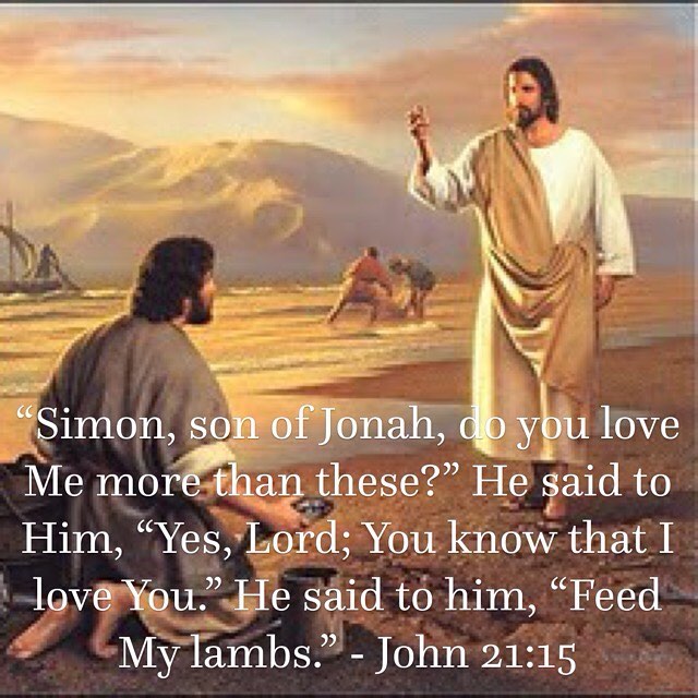 “So when they had eaten breakfast, Jesus said to Simon Peter, “Simon, son of Jonah, do you love Me more than these?” He said to Him, “Yes, Lord; You know that I love You.” He said to him, “Feed My lambs.”” – John 21:15 . “The Lord asked Peter to “Feed (His) lambs”…, and did not mention his denial or challenge what he had done. It was as though the Lord was telling him: ‘You had said that you would sacrifice yourself for my sake, so now I am asking you to sacrifice yourself for my lambs’.” – St. John…
