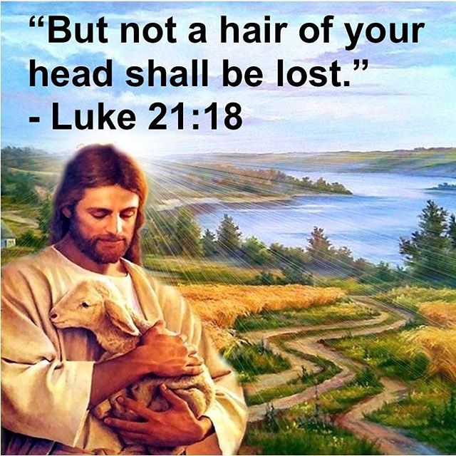 “But not a hair of your head shall be lost.” - Luke 21:18
.
“We should have no doubt that our mortal flesh also will rise again at the end of the world…. This is the Christian faith. This is the Catholic faith. This is the apostolic faith. Believe Christ when he says, “Not a hair of your head shall perish.” Putting aside all unbelief, consider how valuable you are. How can our Redeemer despise any person when he cannot despise a hair of that person’s head? How are we going to doubt that he intends to give eternal life to our soul and body? He took on a soul and body in which to die for us, which he laid down for us when he died and which he took up again that we might not fear death.” - St. Augustine

#notahairofyourheadshallbelost #putasideunbelief #donotfeardeath #dailyreadings #coptic #orthodox