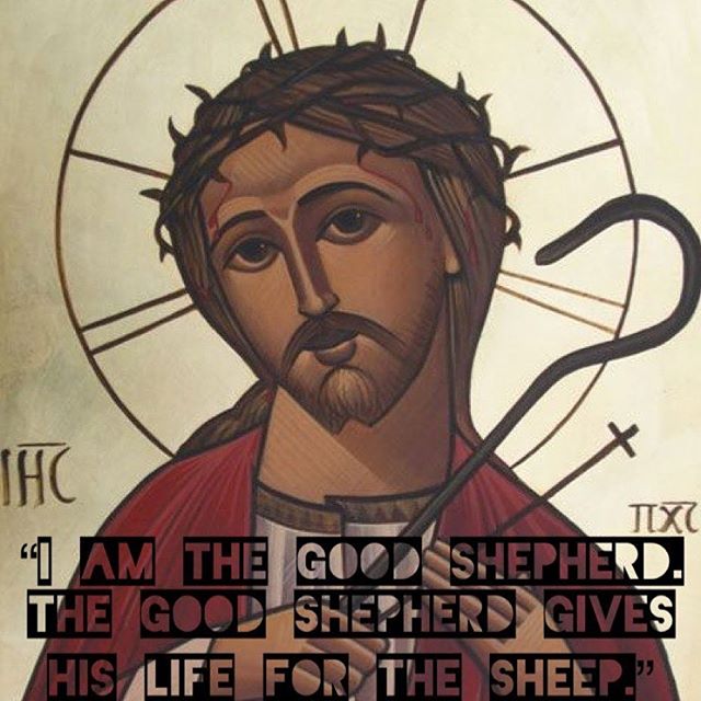 “I am the good shepherd. The good shepherd gives His life for the sheep.” – John 10:11 . ‘I am the good Shepherd’: the Lord speaks here about suffering and underlines that it brings salvation to the world. He was not obliged to come; therefore He presents the model of the shepherd and the hired servant once more.” – St. John Chrysostom #thegoodshepherd #givesHislife #imitateHim #service #servant #howtoserve #dailyreadings #coptic #orthodox