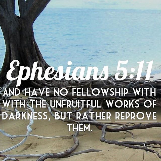 “have no fellowship with the unfruitful works of darkness, but rather expose them.” - Ephesians 5:11
.
”If you are unable to separate yourself from evildoers physically, then separate yourself from them in practice: be separate from them in mind, in attitude and in way of life" - H.H. Pope Shenouda III  #setapart #exposetheunfruitfulworks #havenofellowshipwiththeunfruitfulworks #fruitsareoftheSpirit #dailyreadings #coptic #orthodox