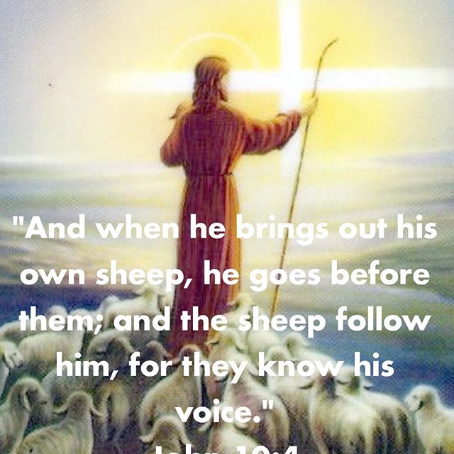 “And when he brings out his own sheep, he goes before them; and the sheep follow him, for they know his voice.” John 10:4 . “The Lord has gone before His sheep to the pasture of the Cross and of sufferings so that the sheep would not fear the road leading to Golgotha. Therefore, they will not fear death for as long as they are in the company of the Crucified Lord.” Father Tadros Yacoub Malaty #TheGoodShepherd #goesbeforeHissheep #fastoftheNativity #Advent #dailyreadings #coptic #orthodox