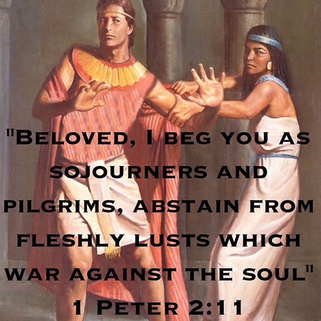 “Beloved, I beg you as sojourners and pilgrims, abstain from fleshly lusts which war against the soul” 1 Peter 2:11 . “Concerning your body, and the passions which afflict its members… reverence the honor with which God has dignified the body, and do not reduce it to the vile conditions of sinful lust.” St. John Chrysostom #pilgrims #fastoftheNativity #Advent #dailyreadings #coptic #orthodox