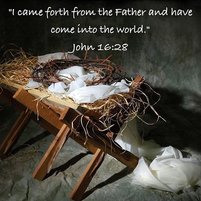 “I came forth from the Father and have come into the world.” John 16:28 . “God is on earth, He is among men, not in the fire nor amid the sound of trumpets; not in the smoking mountain, or in the darkness, or in the terrible and roaring tempest giving the Law, but manifested in the flesh, the gentle and good One dwells with those He condescends to make His equals! God is in the flesh, not operating from a distance, as did the prophets, but through His human nature, one with ours, He seeks to bring back all mankind…