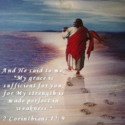 And He said to me, "My grace is sufficient for you, for My strength is made perfect in weakness." - 2 Corinthians 12:9 .
.
I asked for strength to tolerate, so He gave me weakness to learn to rely on Him- HH Pope Shenouda III
.
#ourstrength #carryingus #grace #coptic #dailyreadings #holybible #orthodoxy