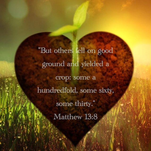 "But others fell on good ground and yielded a crop: some a hundredfold, some sixty, some thirty."
Matthew 13:8
. "Blessed is he who plants in his soul good plants, that is, the virtues and the lives of saints."
St Ephraim the Syrian 
#parable #TheSower #goodground #dailyreadings #coptic #orthodox