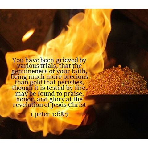 You have been grieved by various trials, that the genuineness of your faith, being much more precious than gold that perishes, though it is tested by fire, may be found to praise, honor, and glory at the revelation of Jesus Christ – 1 Peter 1:6 & 7 . . By enduring the present afflictions with courage, while having no experience, God will grant you the possibility to endure any thing that – God forbid – would probably happen against your will. Therefore, if you seek heaven, and what concern the life to come, nothing would ever harm you. Even the…