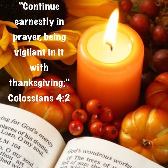 "Continue earnestly in prayer, being vigilant in it with thanksgiving;"
Colossians 4:2
.
"The highest level of thanksgiving is to give thanks to God over tribulations. We thank God over the tribulations from which He saved us…. But, what is greater than this is also thank Him over the prevailing tribulations which we bear and live in. By faith we believe it is for our good. To endure and bear tribulations, is a virtue. To be content with the tribulation and accept it is a greater virtue. And what is more important is to give thanks over the tribulation with complete surrender and joy. If we thank God for the gifts only, then our love is for the gifts not for God the giver Himself. But if we give thanks to God in tribulation we prove that we love God Himself and not for His gifts."
H.H Pope Shenouda III
#prayer #thanksgiving #dailyreadings #coptic #orthodox
