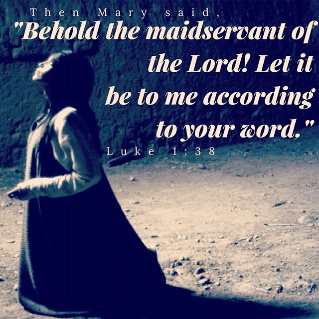 “Then Mary said, "Behold the maidservant of the Lord! Let it be to me according to your word.”” - Luke 1:38
.
"Lord, those are Your best servants who wish to shape their life on Your answers rather than to shape Your answers on their wishes." - St. Augustine
#servant #submission #stmary #nativityfast #annunciation #kiahk #dailyreadings #coptic #orthodox