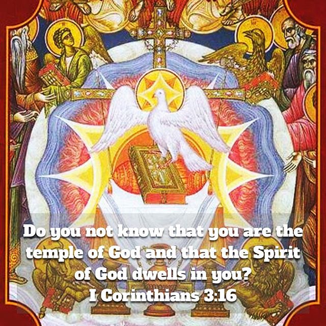 “In the hearts of the meek the Lord finds rest, but a turbulent soul is a seat of the devil.” St. John Climacus #templeofGod #HolySpirit #dailyreadings #coptic #orthodox