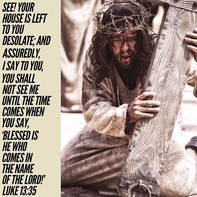"And I tell you", He says, "you will not see me until you say, 'Blessed is he that comes in the name of the Lord.‘" What does this mean? The Lord withdrew from Jerusalem and left as unworthy of his presence those who said, "Get away from here". And after he had walked about Judea and saved many and performed miracles which no words can adequately describe, he returned again to Jerusalem. It was then that he sat upon a colt of a donkey, while vast multitudes and young children, holding up branches of palm trees, went before him, praising him and saying, "Hosanna to the Son of David. Blessed is he who comes in the name of the Lord".
- Cyril of Alexandria
.
#BlessedIsHe #WhoComesInTheNameOfTheLord #Blessed #DailyReadings #CopticOrthodox #Luke #BlessedIsHe #Orthodox #Coptic #HosannaInTheHighest #Hosanna