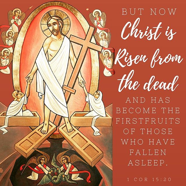 “He tasted death for the sake of all; although by nature, He, Himself was the Life and resurrection. He surrounded His body with death, then by His mighty power, He treaded upon death to become the Firstfruit among the dead, and the Firstfruit of those who have fallen asleep. If the resurrection from the dead happens through man; and the Man we Know is the Word begotten by God; Through Him the power of death has been destroyed.” - St. Cyril the Great
#brightsaturday #lightsaturday #hetrampleddowndeathbyhisdeath #pascha #holyweek #Christisrisen #khristosanesti #dailyreadings #coptic #orthodox