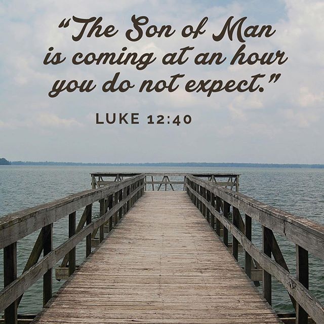 “What is the mark of a Christian? It is to watch daily and hourly and to stand prepared in that state of total responsiveness pleasing to God, knowing that the Lord will come at an hour that he does not expect.” - St. Basil the Great 
#beready #Heiscoming #maranatha #ApostlesFast #dailyreadings #coptic #orthodox