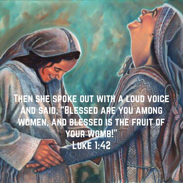 "God's Eden is Mary in her there is no serpent that kills no Eve which kills but from her springs the Tree of Life that restores the exiles of Eden." - St. Ephraim the Syrian #copticorthodox #dailyreading #coptic #advent #christianity