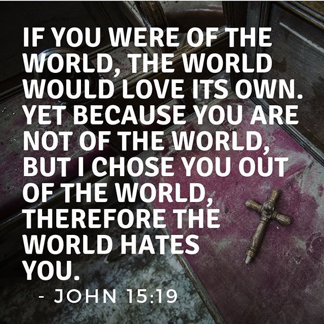 As though the Lord Jesus Christ says to His disciples If you wish to love you must suffer. This is implied in His saying If you were of the world the world would love its own. If the world loved you it would be evident that you wanted in yourself the worlds malice.  St. John Chrysostom  #notofthisworld #strangers #sojourners #chosen #dailyreadings #coptic #orthodox #nayrouz