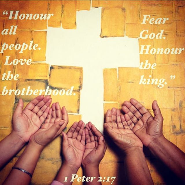 "How is it proved that we love the fellowship? Because we do not split unity; because we keep love."
St Augustine of Hippo
#honourall #loveall #unity #brotherhood #dailyreadings #coptic #orthodox