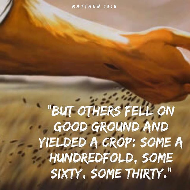 "For the sower makes no distinction in the land submitted to him but simply and indifferently casts his seed. So He Himself too makes no distinction of rich and poor, of wise and unwise, of slothful or diligent, of brave or cowardly. He plants his seed among all, fulfilling His part... Now tell me how the greater part of the seed was lost? Not through the sower but through the ground that received it. The soul was unreceptive... But He speaks this parable as if to anoint his disciples and to teach them that they are not to be despondent even though those lost may be more than those who receive the word. It was with this same ease that the Lord Himself continued to sow, even He who fully foreknew the outcomes...For here there is such a thing as the rock changing and becoming rich land. Here it is possible that the wayside might no longer be trampled upon or lie open to all who pass by but that it may become a fertile field. In the case of the soul, the thorns may be destroyed and the seed enjoy full security. For had it been impossible, this sower would not have sown. And if the reversal did not take place in all, this is no fault of the sower but of the souls who are unwilling to be changed. He has done His part. If they betrayed what they received of Him, He is blameless, the exhibitor of such love to humanity."
St John Chrysostom
#ParableofTheSower #begoodsoil #dailyreadings #coptic #orthodox