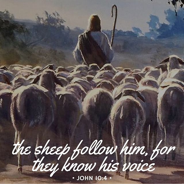 "Behold the eye have I shut from beholding that perhaps You, I may behold, and the ear too, have I emptied that perhaps to You I may listen." - H.H. Pope Shenouda III

#knowHisvoice #emptyear #dailyreadings #coptic #orthodox