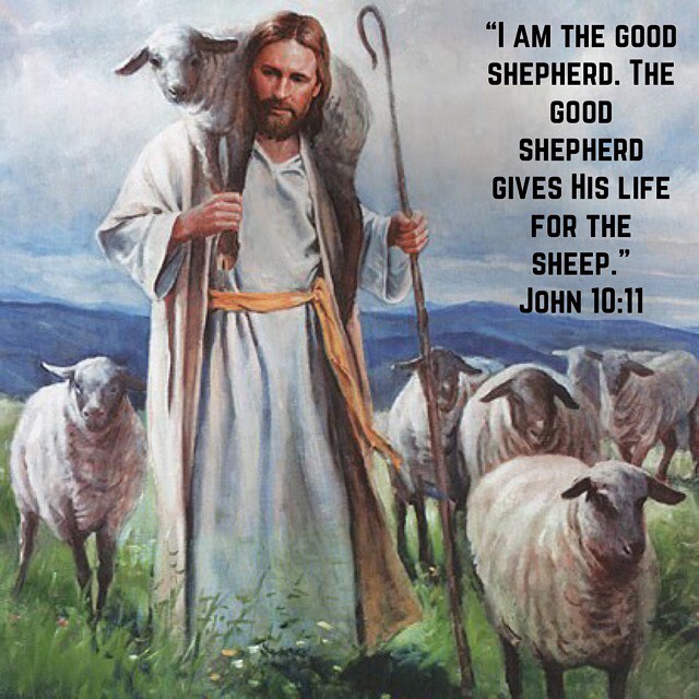"Would that each day we say to the Lord, 'I surrender to You, O Lord, my life: Let my heart and my soul and my body and my thoughts, my night and my day, and my life be all Yours. Let it be fruitful." - Mother Irene (Tamav Irini) #goodshepherd #dailyreadings #coptic #copticorthodox #love