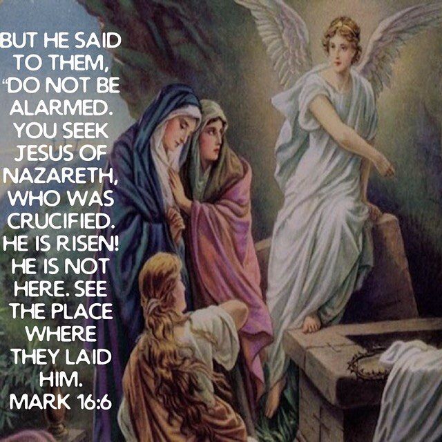 He suffered for the sake or those who suffer but He rose from the dead. I am the Christ; I have destroyed death I am your forgiveness. I am the lamb that was immolated for you. I am your ransom your life your resurrection - St. Melito of Sardis in Lydia  #christisrisen #coptic #orthodox #dailyreadings #holyfifty #ressurection