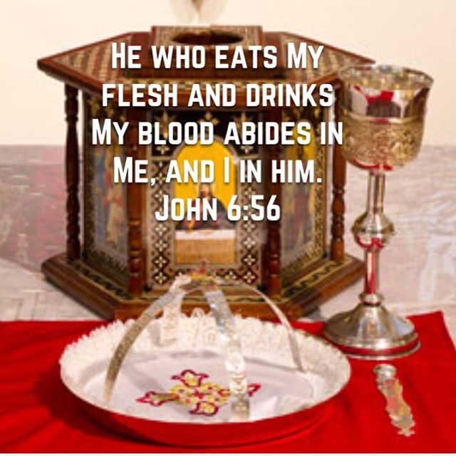 “After partaking of the Eucharist, our bodies are no longer corruptible, having the hope of eternal resurrection.”
- St. Irenaeus
#dailyreadings #coptic #orthodox #eucharist #holycommunion