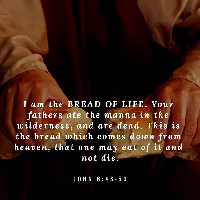 "The multitude being urgent for bodily food, and reminding Him of that which was given to their fathers, He tells them that the manna was only a type of that spiritual food which was now to be tasted in reality, I am that bread of life. He calls Himself the bread of life, because He constitutes one life, both present, and to come. The addition, In the wilderness, is not put in without meaning, but to remind them how short a time the manna lasted; only till the entrance into the land of promise. And because the bread which Christ gave seemed inferior to the manna, in that the latter had come down from heaven, while the former was of this world, He adds, Thisis the bread which comes down from heaven. He then gives them a strong reason for believing that they were given for higher privileges than their fathers. Their fathers eat manna and were dead; whereas of this bread He says, that a man may eat thereof, and not die. The difference of the two is evident from the difference of their ends. By bread here is meant wholesome doctrine, and faith in Him, or His body: for these are the preservatives of the soul." - St John Chrysostom

#breadoflife #everlastinglife #bodyofchrist #manna