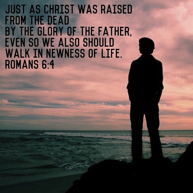 Our thoughts, our hopes and our expectations are in heaven - St John Chrysostom
.
.
#heaven #walkinthenewnessoflife #dailyreadings #copticorthodox #coptic #orthodox #holy50 #resurrection