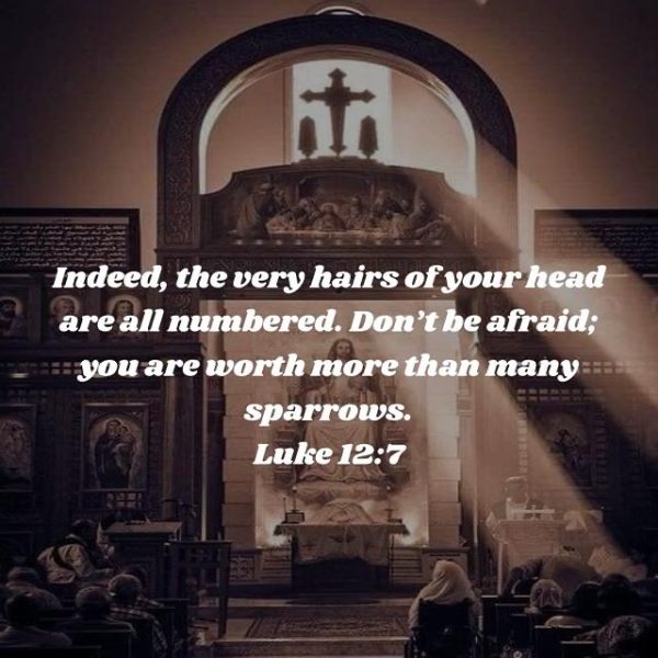 “Our fear is not from an external enemy because our real enemy is inside us; everyday we risk an inner war. If we triumph in this inner war, all the wars that come from outside will be weak; there will be no external enemy to fear. So we have to submit the inside to the dominion of the spirit.” Abba Youanes, Bishop of Gharbiah • • • #coptic #orthodox #dailyreadings #sayingsofthefathers #faith #orthodoxy #copticorthodox #christianity #liturgy #gospel #praise #grace #hope #faithful #copticfathers #saints #ukmidcopts