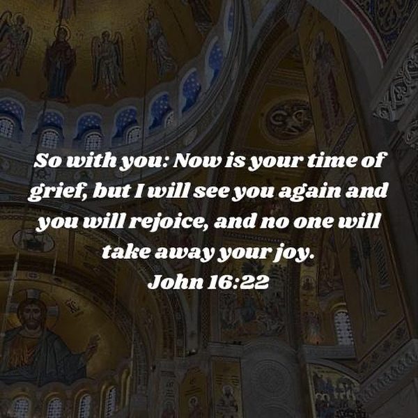 “As much as our love for God is, will be our joy in Him in eternity, and will be our happiness.” – H.H. Pope Shenouda III • • • #coptic #orthodox #dailyreadings #sayingsofthefathers #faith #orthodoxy #copticorthodox #christianity #liturgy #gospel #praise #grace #hope #faithful #copticfathers #saints #ukmidcopts