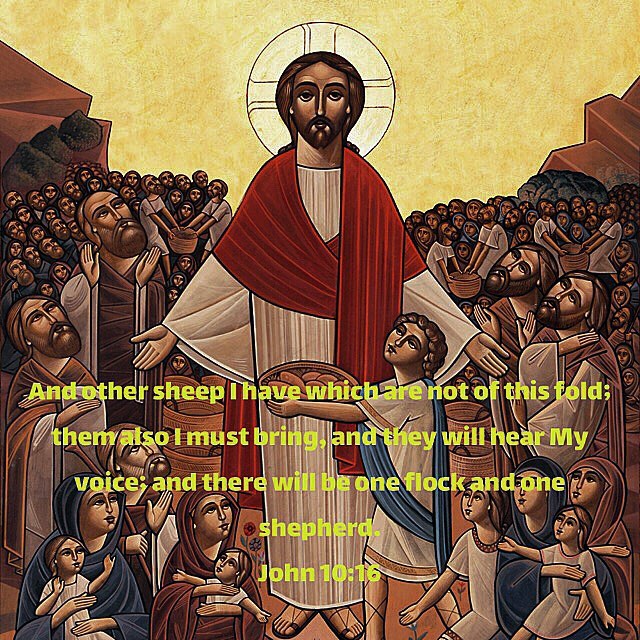"I am unable by my human arm to reach You, O Lord, so You catch hold of me by Your mighty arm and draw me to You, and leave me not to my weakness." - H.H. Pope Shenouda III #dailyreadings #coptic #copticorthodox #christianity