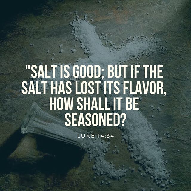 “He continues, ‘Let there be salt in you,’ that is, the divine words that bring salvation. If we despise these, we become tasteless, foolish and utterly useless.” ~ St. Cyril of Alexandria

#salt #lettgerebesaltinyou #flavour #dailyreadings #coptic #orthodox #advent #nativityfast