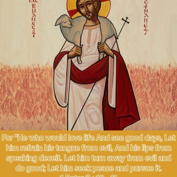 “Who thinks that there is a way for repentance other than prayers, he is deceived from the devil.” – St. Isaac the Syrian • • • #coptic #orthodox #dailyreadings #sayingsofthefathers #faith #orthodoxy #copticorthodox #christianity #liturgy #gospel #praise #grace #hope #faithful #copticfathers #saints #ukmidcopts