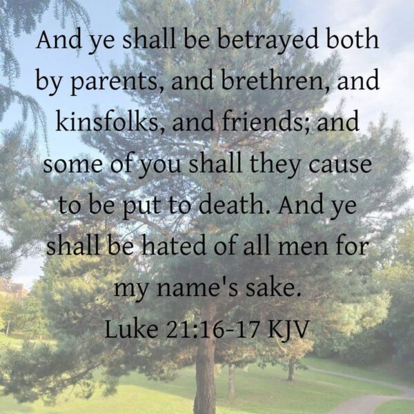 “If we have a strong relationship with God, this will distinguish our relationship with others. We will be able to be a source of peace, tranquility, and comfort to them.” – St. Anthony the Great • • • #coptic #orthodox #dailyreadings #sayingsofthefathers #faith #orthodoxy #copticorthodox #christianity #liturgy #gospel #praise #grace #hope #faithful #copticfathers #saints #ukmidcopts