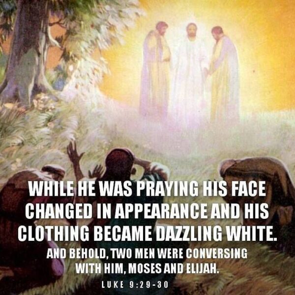 “O Lord, my God, You alone do I love. You alone am I prepared to serve, for You alone justly rule, and under Your authority I long to be.” – St. Augustine • • • #coptic #orthodox #dailyreadings #sayingsofthefathers #faith #orthodoxy #copticorthodox #christianity #liturgy #gospel #praise #grace #hope #faithful #copticfathers #saints #ukmidcopts