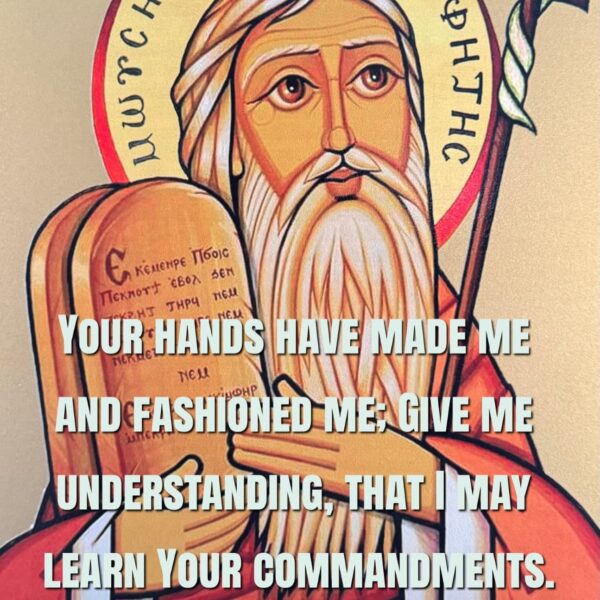 “If a man surrenders himself very honestly to God’s commandments, the Holy Spirit will teach him how to purify himself and his body.” – St. Anthony the Great • • • #coptic #orthodox #dailyreadings #sayingsofthefathers #faith #orthodoxy #copticorthodox #christianity #liturgy #gospel #praise #grace #hope #faithful #copticfathers #saints #ukmidcopts