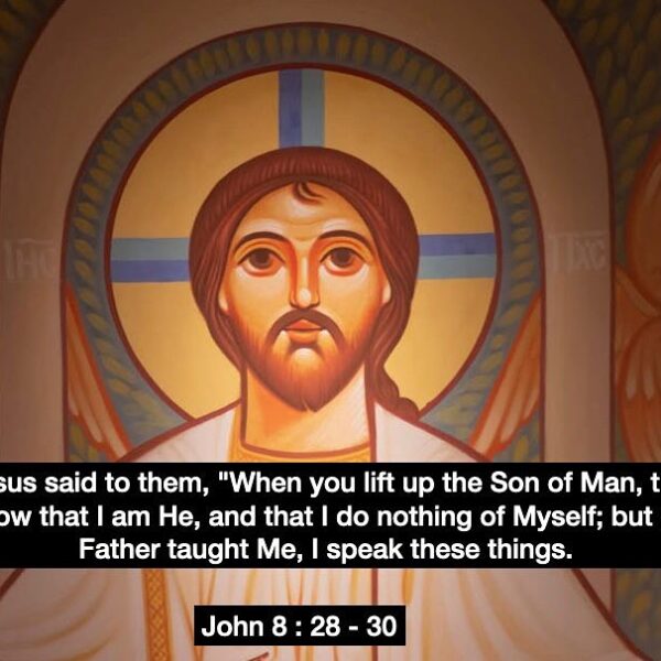 “O Lord, my God, You alone do I love. You alone am I prepared to serve, for You alone justly rule, and under Your authority I long to be.” – St. Augustine • • • #coptic #orthodox #dailyreadings #sayingsofthefathers #faith #orthodoxy #copticorthodox #christianity #liturgy #gospel #praise #grace #hope #faithful #copticfathers #saints #ukmidcopts