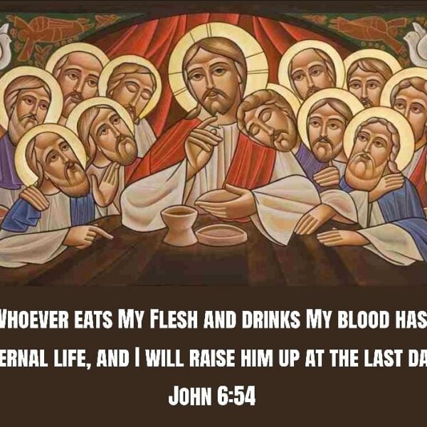 “Remember the Blood of Christ poured out for your sake, then you will know well the value of your life and it will become precious in your eyes, so you will not squander it in prodigal living, for you have been ‘bought at a price’ (1Cor.6:20)” – H.H. Pope Shenouda III • • • #coptic #orthodox #dailyreadings #sayingsofthefathers #faith #orthodoxy #copticorthodox #christianity #liturgy #gospel #praise #grace #hope #faithful #copticfathers #saints #ukmidcopts