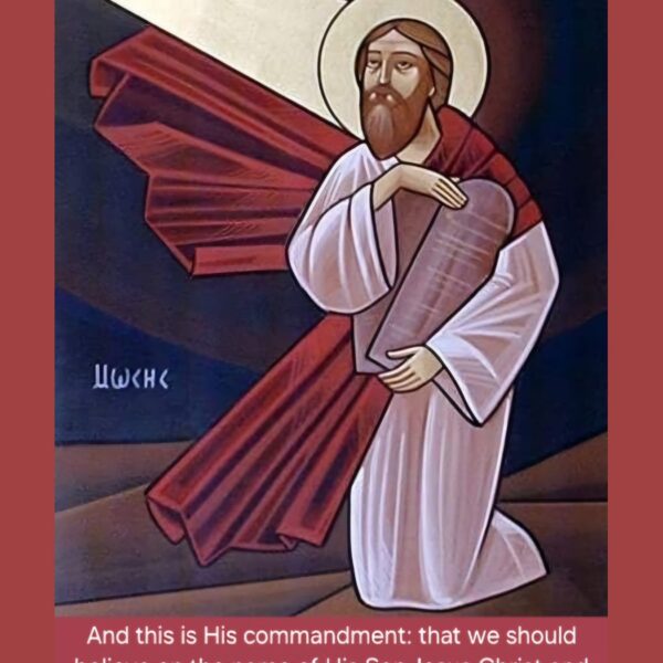 “If, to me, to “live is Christ” (Phil 1:21), truly my words ought to be about Christ, my every thought and deed ought to depend on His commandments and my soul to be fashioned after His.” – St. Basil the Great • • • #coptic #orthodox #dailyreadings #sayingsofthefathers #faith #orthodoxy #copticorthodox #christianity #liturgy #gospel #praise #grace #hope #faithful #copticfathers #saints #ukmidcopts