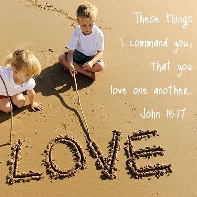 The love you offer others is what breaks the thorn of evil in them. Offer them love love without reason. - HH Pope Tawadros II . . #love #offerlove #copticorthodox #orthodox #orthodoxy #coptic #dailyreadings
