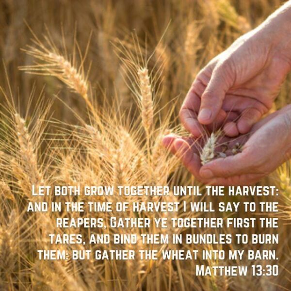 “We implore of you that you live as knowing that you are to render to God an account of your whole life.” – St. Augustine. • • • #coptic #orthodox #dailyreadings #sayingsofthefathers #faith #orthodoxy #copticorthodox #christianity #liturgy #gospel #praise #grace #hope #faithful #copticfathers #saints #ukmidcopts