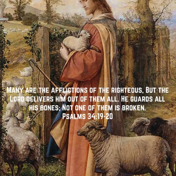 + Do not be surprised if you fall every day; do not abandon hope, but stand your ground courageously. And surely the angel who protects you will honour your patience. – St. John of the Ladder #copticorthodox #salvation #protection