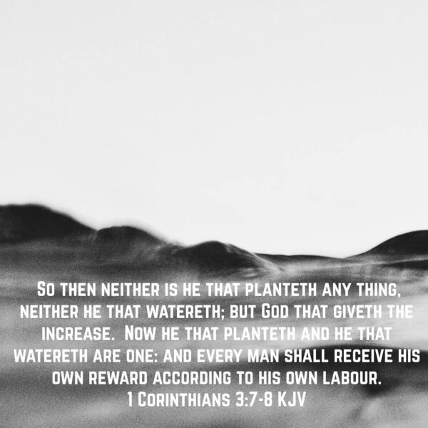 “Pray as though everything depended on God. Work as though everything depended on you.” – St. Augustine • • • #coptic #orthodox #dailyreadings #sayingsofthefathers #faith #orthodoxy #copticorthodox #christianity #liturgy #gospel #praise #grace #hope #faithful #copticfathers #saints #ukmidcopts
