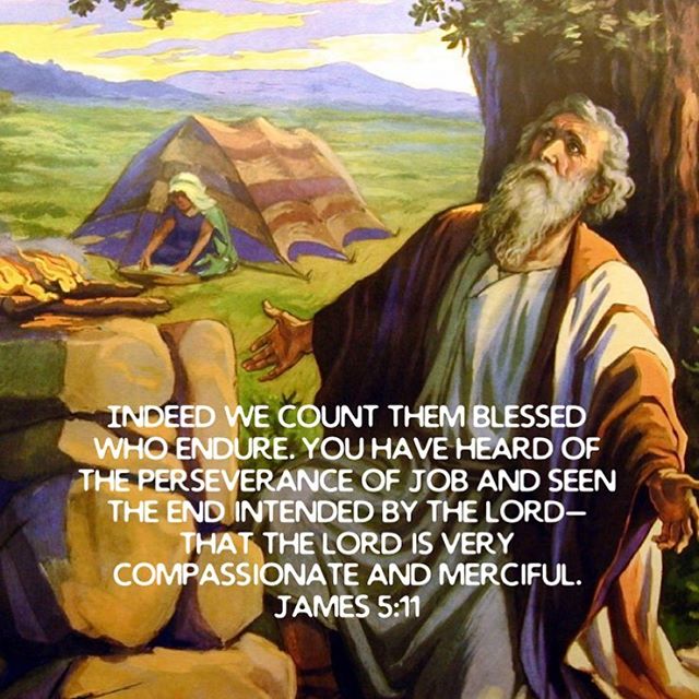 "If the devils find a man who was insulted or has lost something, and this man isn't annoyed or feels sad but bears and endures in patience, they feel terrified of him. This is because they become sure that this man walks in God's way." - St. Macarius the Great #copticorthodox #coptic #orthodox #faith #dailyreading #christianity #prayer #blessed