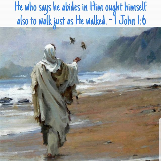 Nothing shall let the feet slip, but pride. Love will move the feet to walk, and to ascend; whereas pride would lead them to stumble and fall. - St. Augustine
.
.
#dailyreadings #copticorthodox #orthodoxy #walkingashewalked in #humility