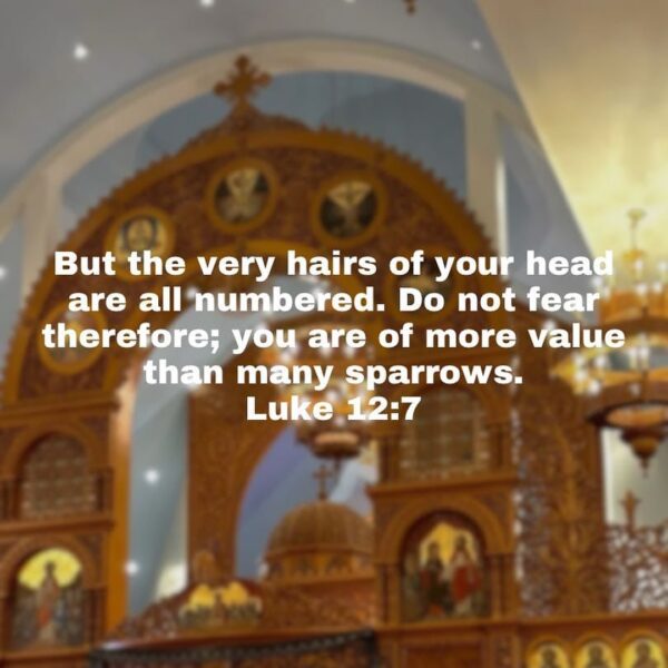 “Remember that you are a child of God and that you ought to have His image; walk as is appropriate for a child of God.” – H.H. Pope Shenouda III • • • #coptic #orthodox #dailyreadings #sayingsofthefathers #faith #orthodoxy #copticorthodox #christianity #liturgy #gospel #praise #grace #hope #faithful #copticfathers #saints #ukmidcopts